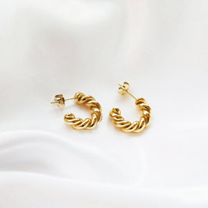 Onyx Crescent Hoop Mystery
