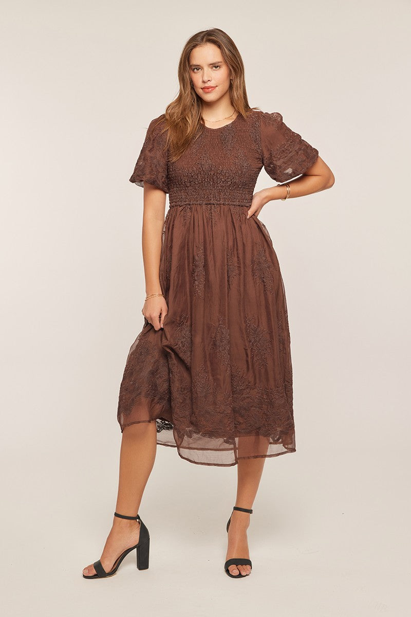 Floral Embroidered Mesh Midi Dress