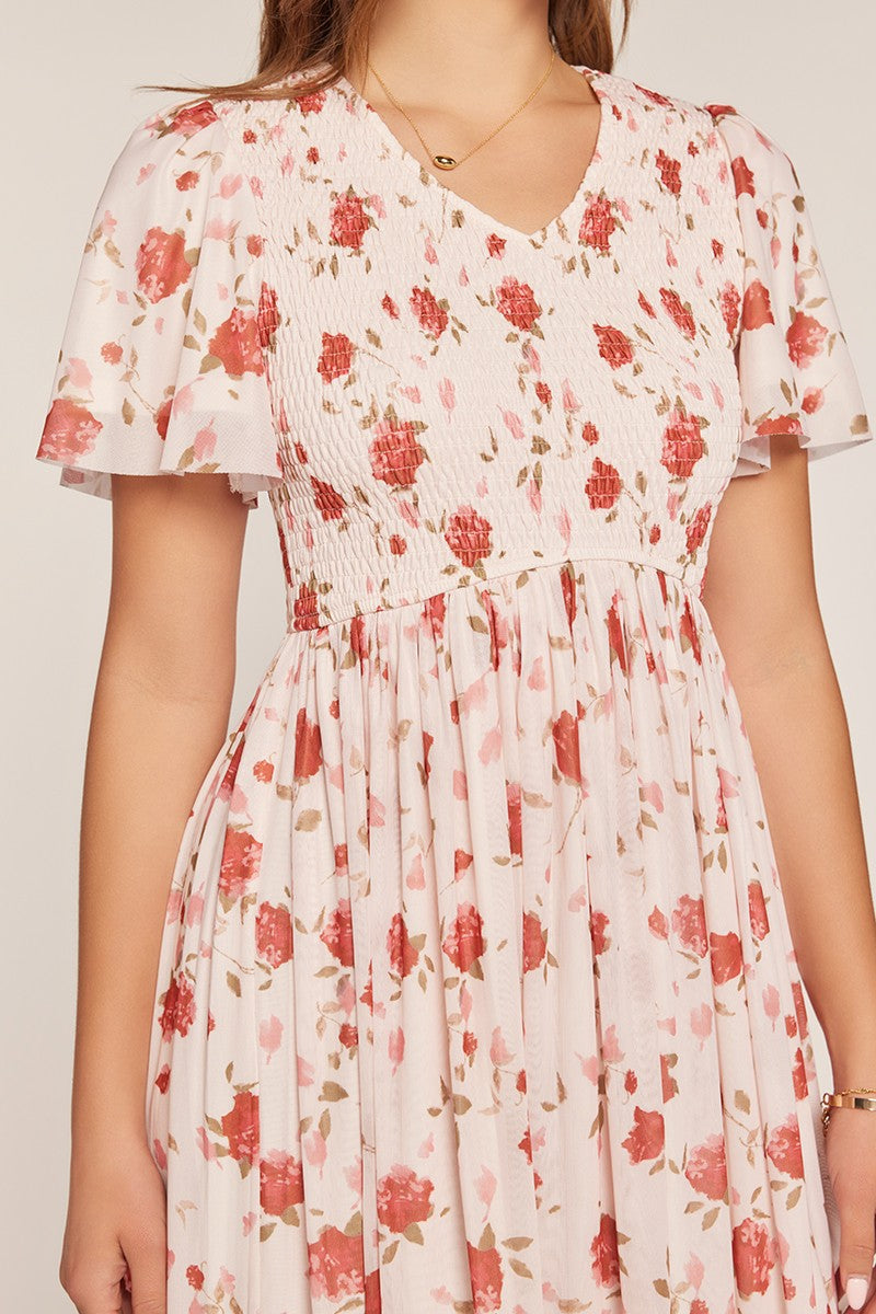 Printed Mesh Smocking Dress