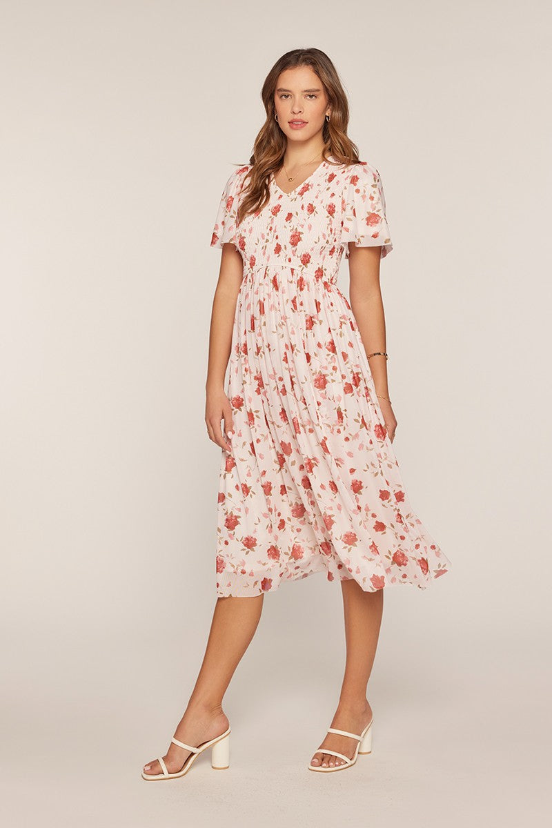 Printed Mesh Smocking Dress