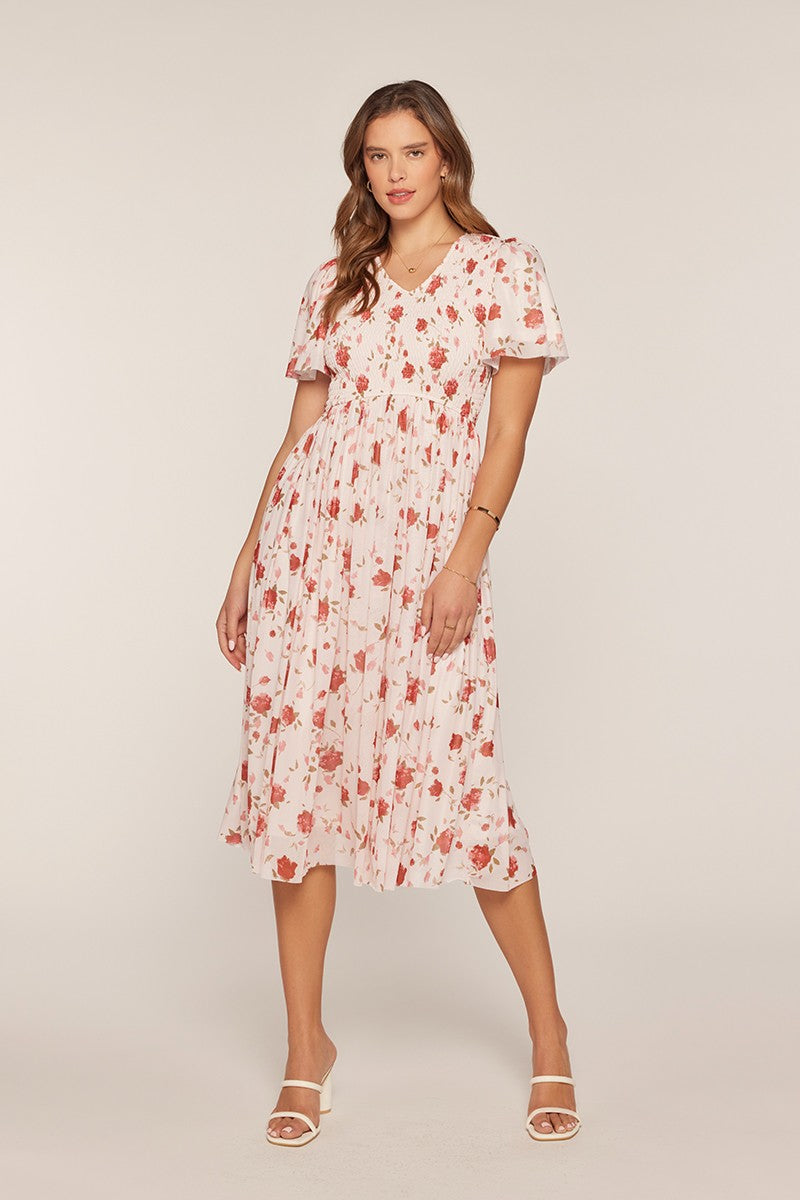 Printed Mesh Smocking Dress