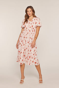 Printed Mesh Smocking Dress