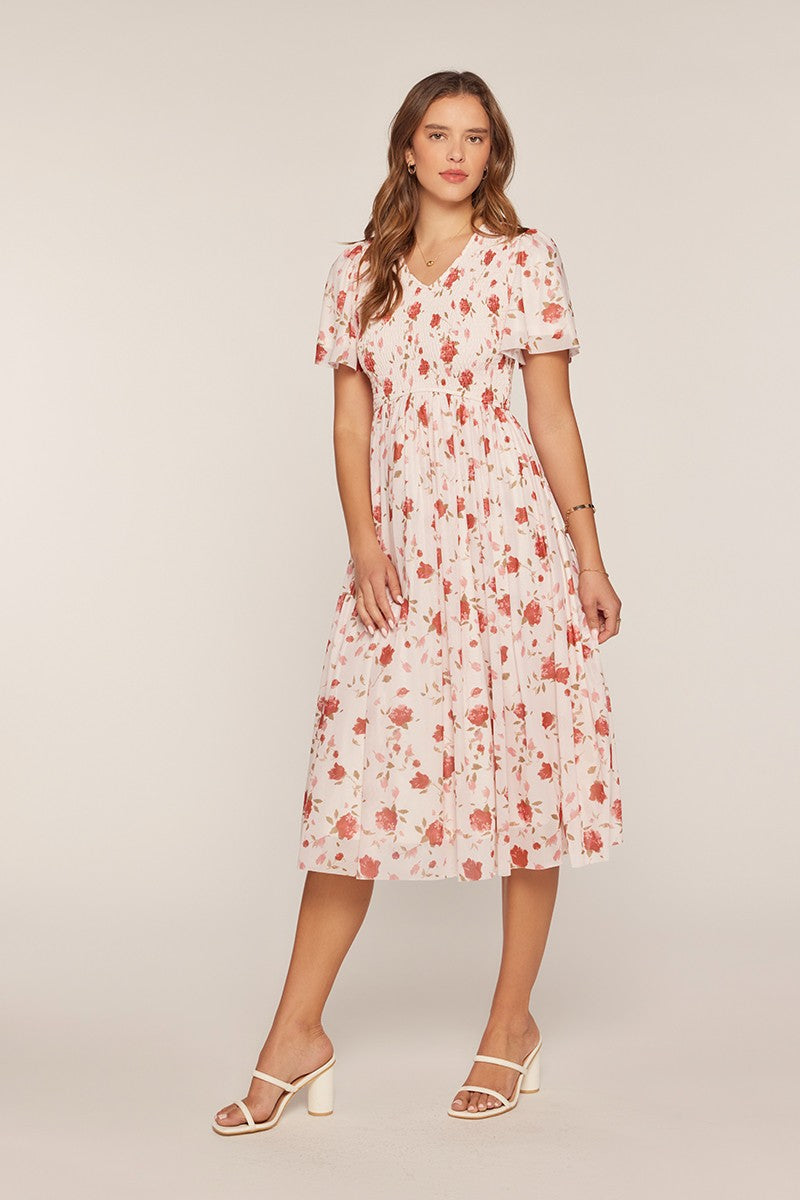 Printed Mesh Smocking Dress
