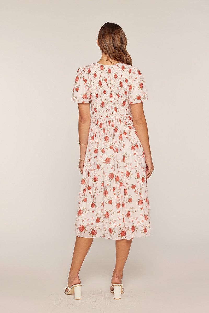 Printed Mesh Smocking Dress