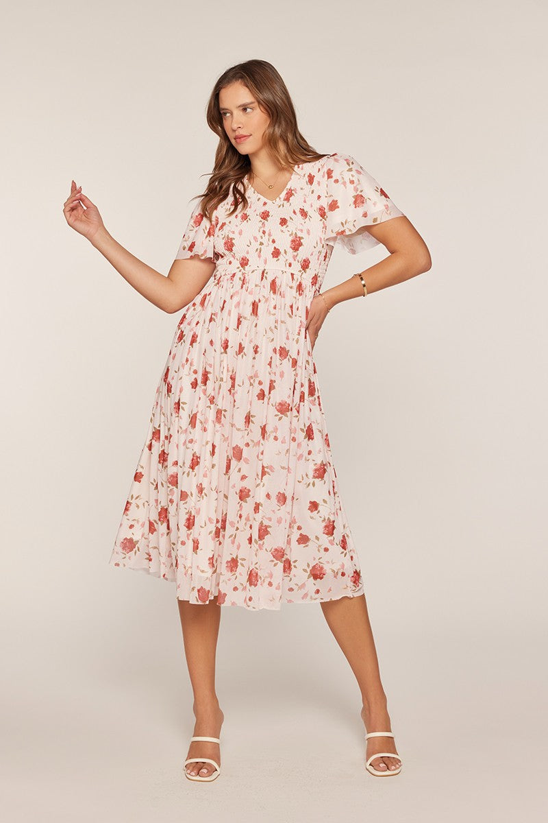 Printed Mesh Smocking Dress
