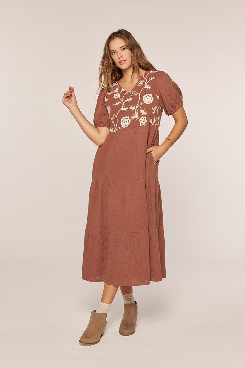Embroidered Dress