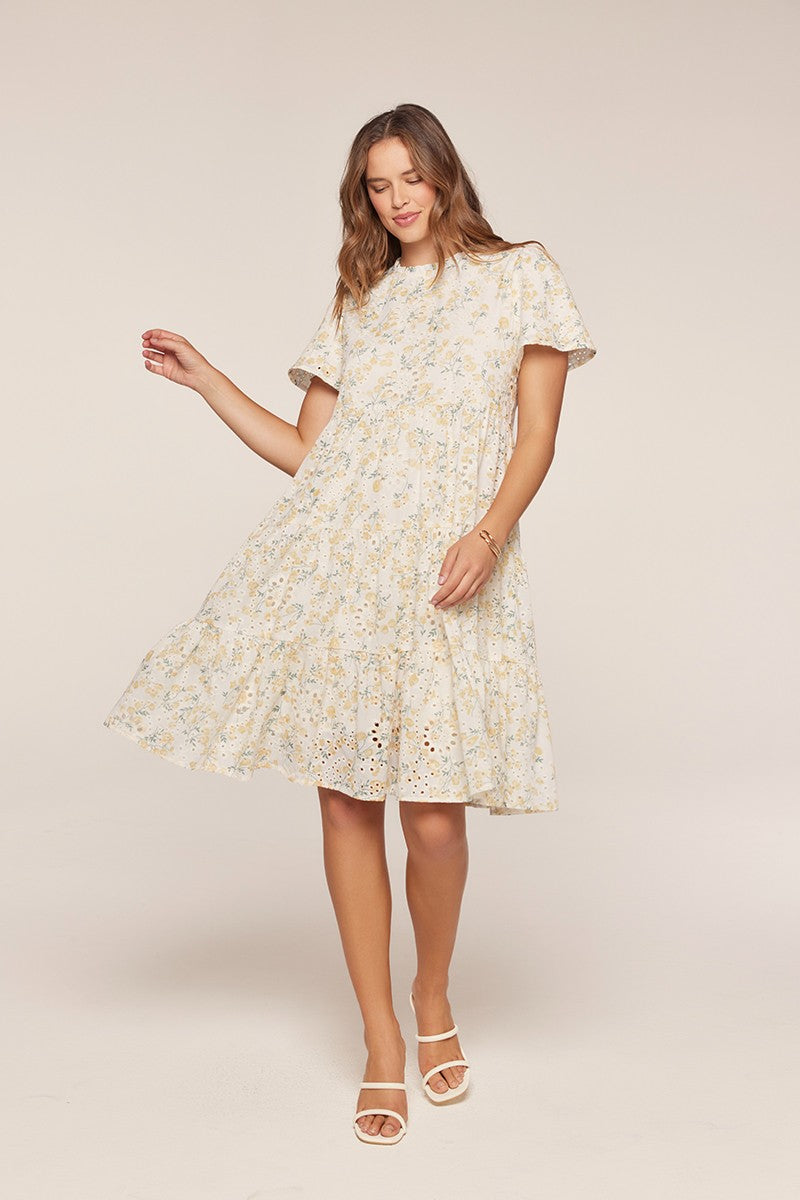 Printed Embroidered Dress