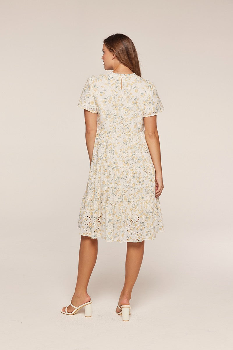 Printed Embroidered Dress