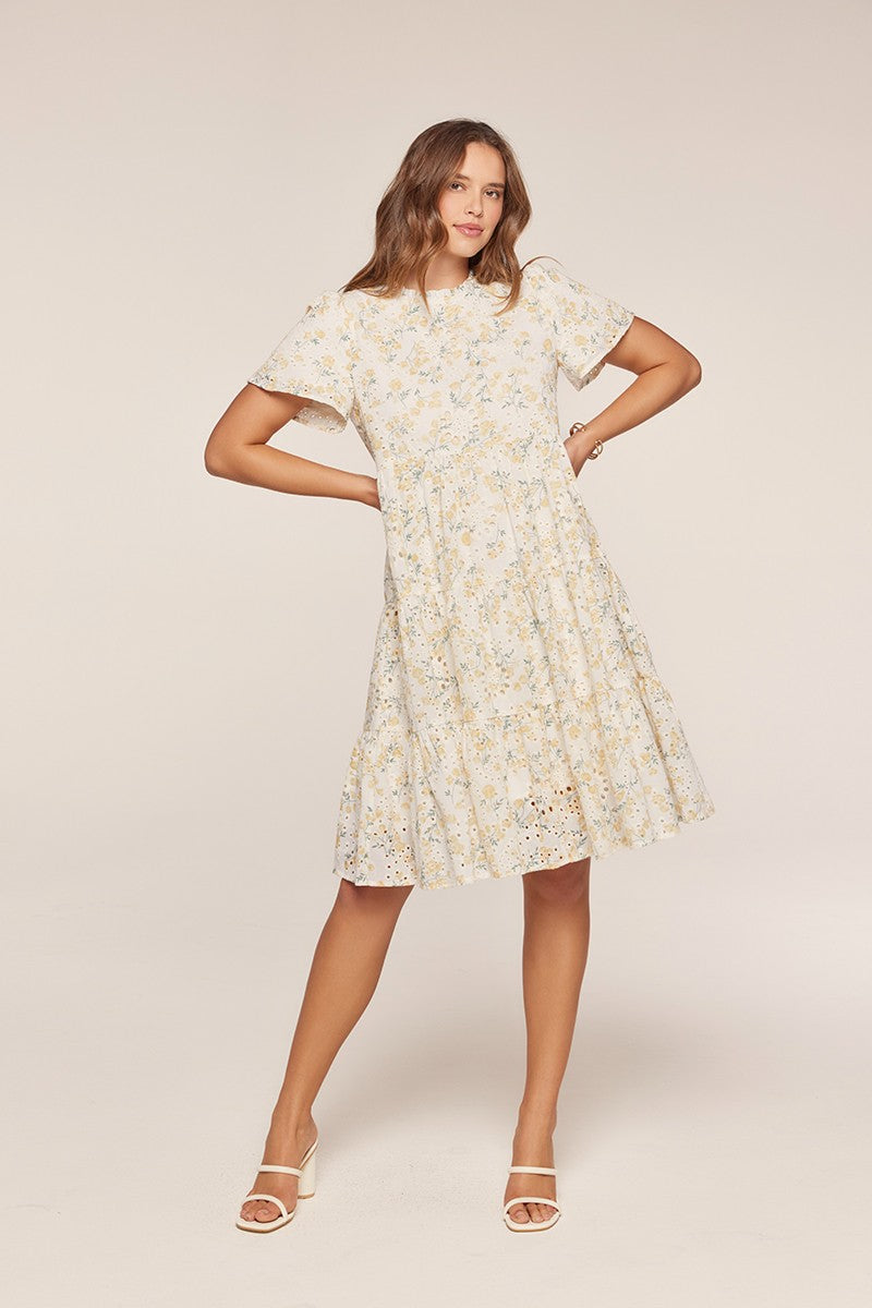 Printed Embroidered Dress