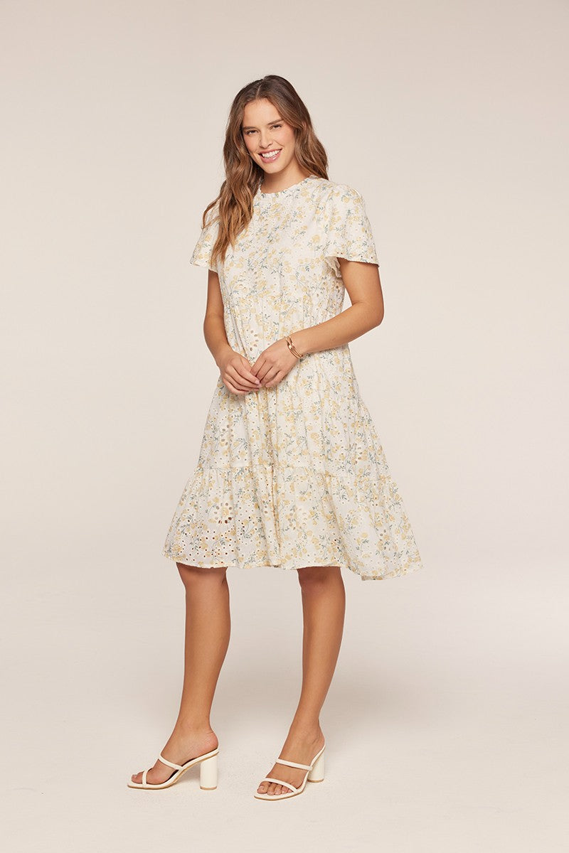 Printed Embroidered Dress