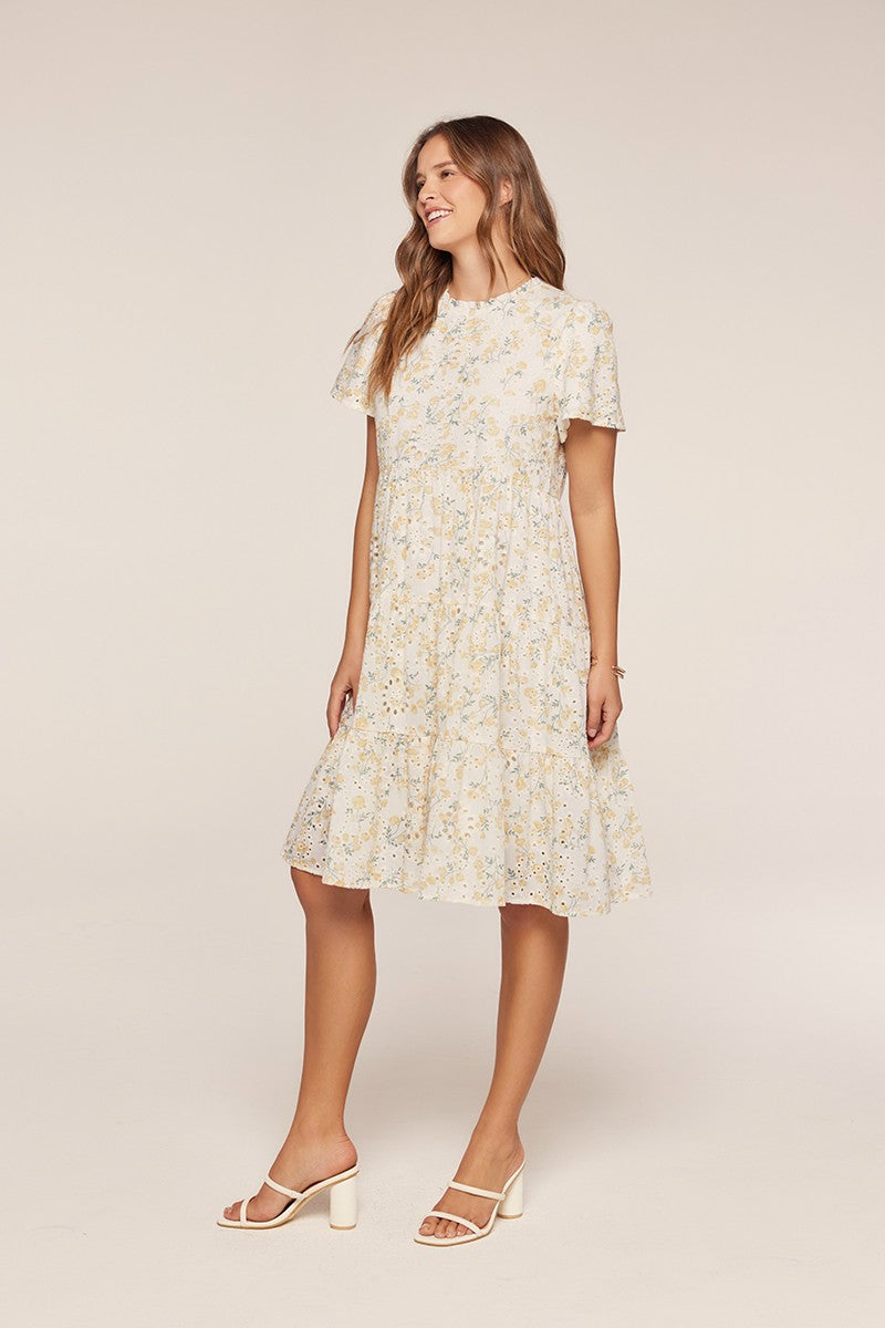 Printed Embroidered Dress