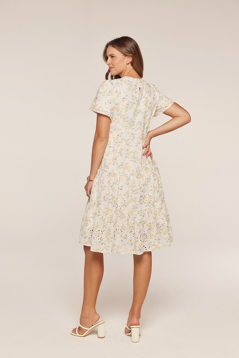 Printed Embroidered Dress
