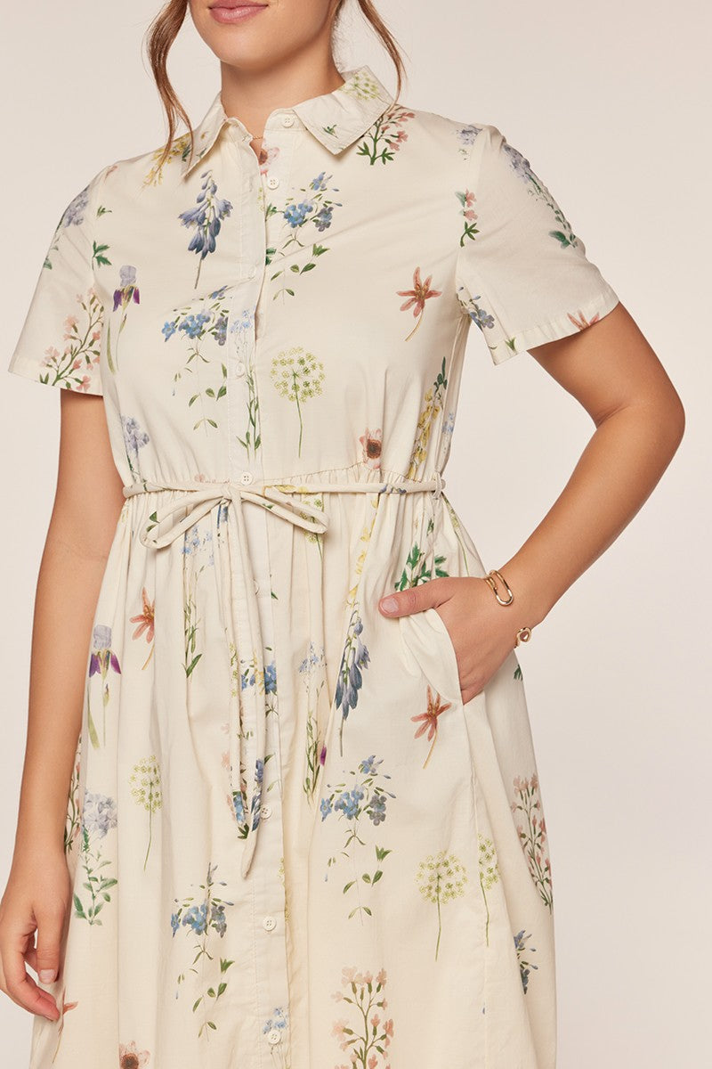 Button Down Polo Dress