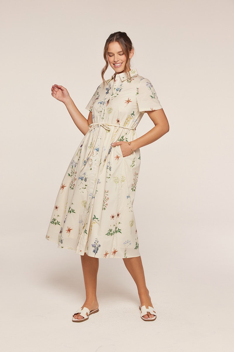 Button Down Polo Dress