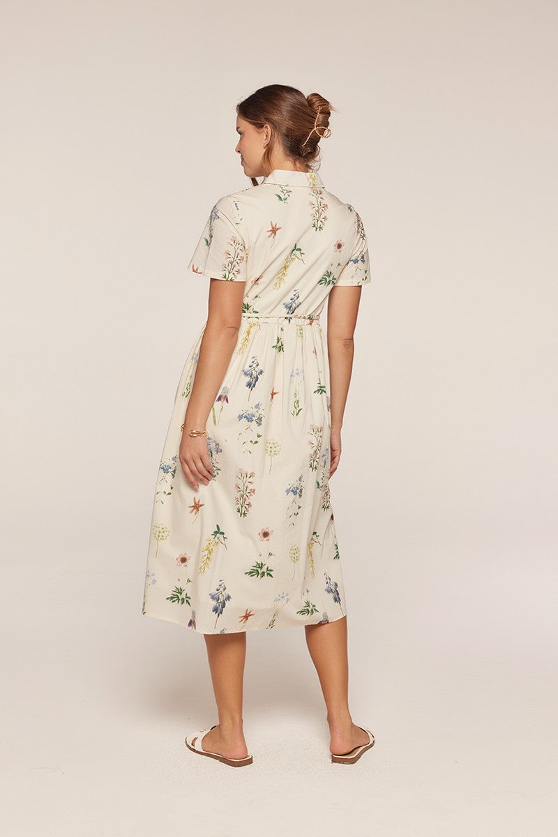 Button Down Polo Dress
