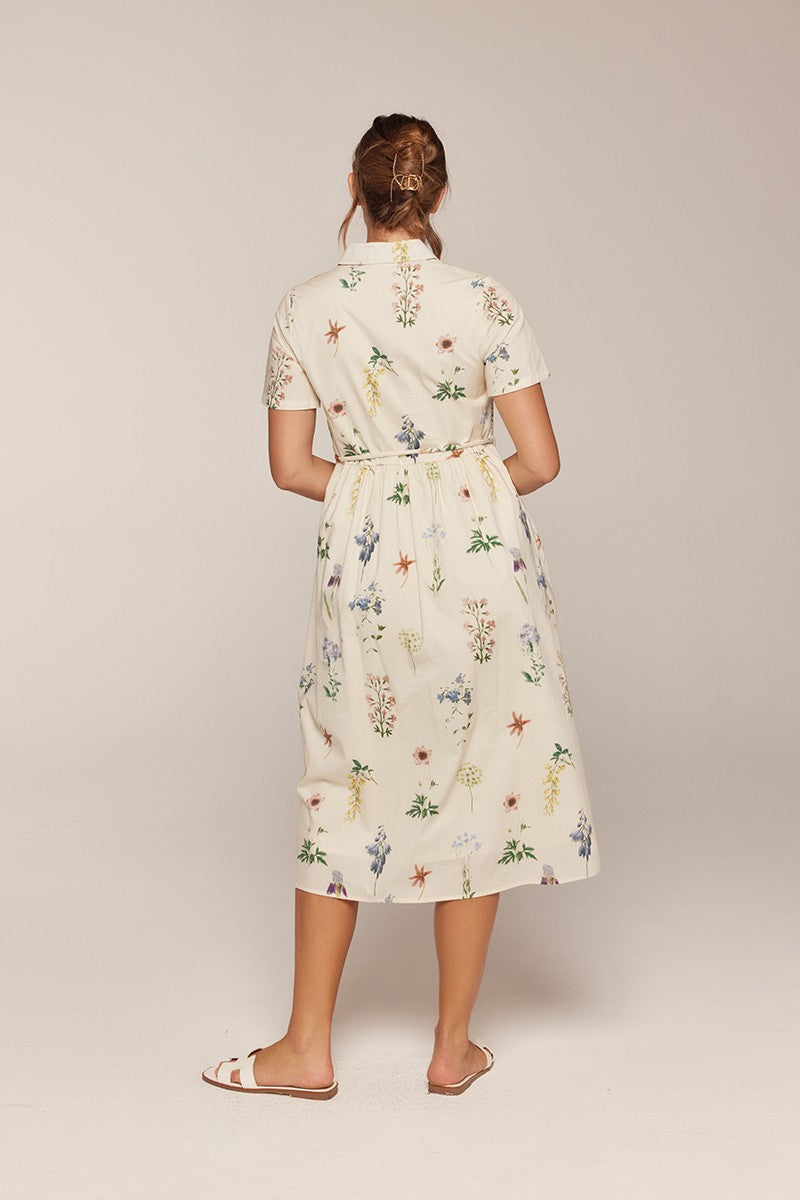 Button Down Polo Dress