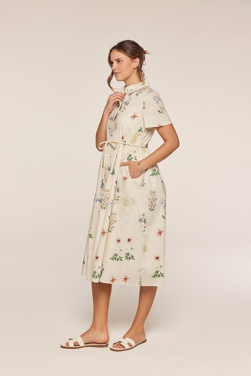 Button Down Polo Dress