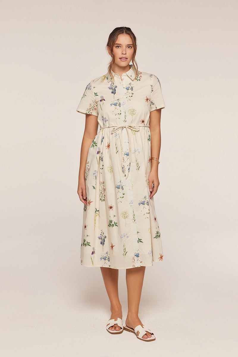Button Down Polo Dress