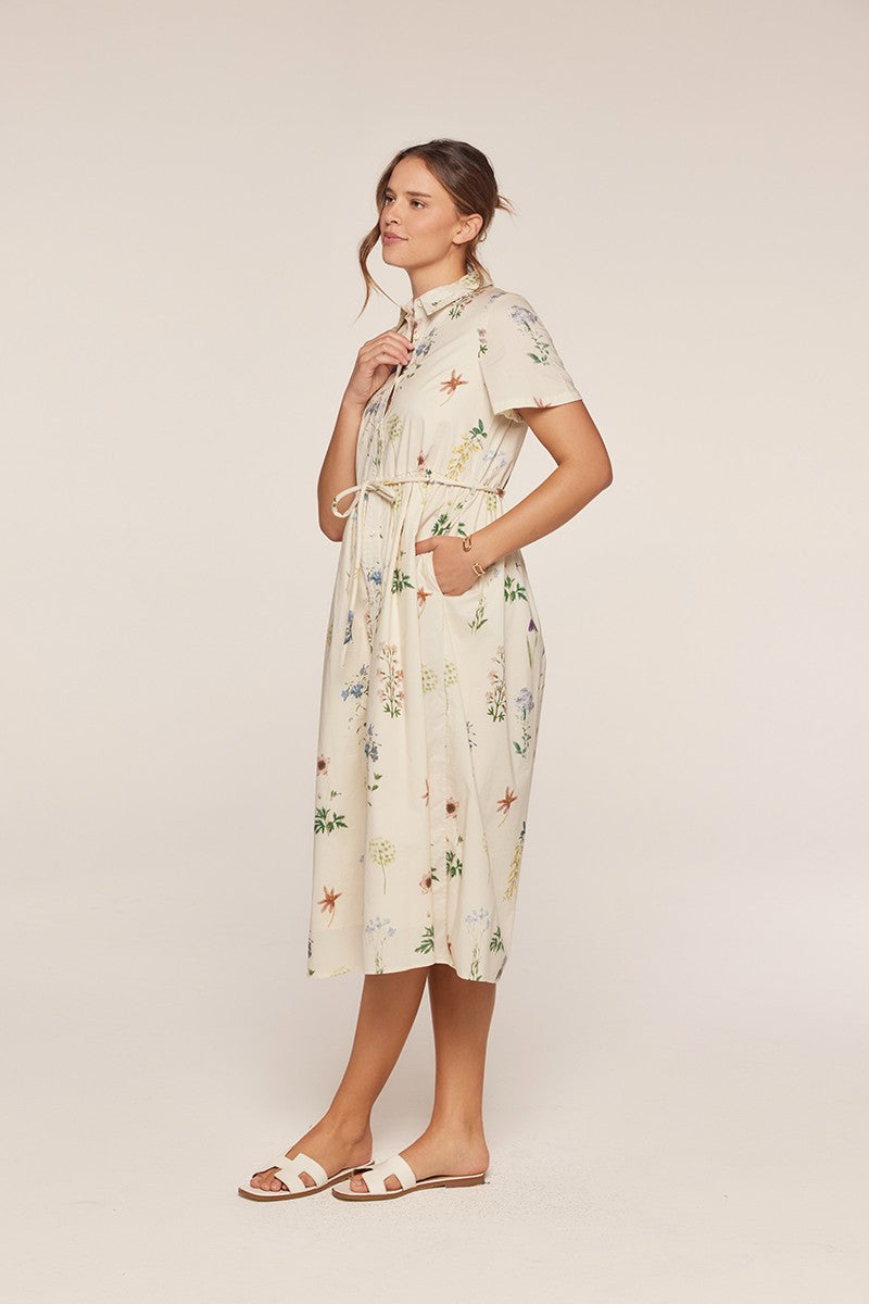 Button Down Polo Dress