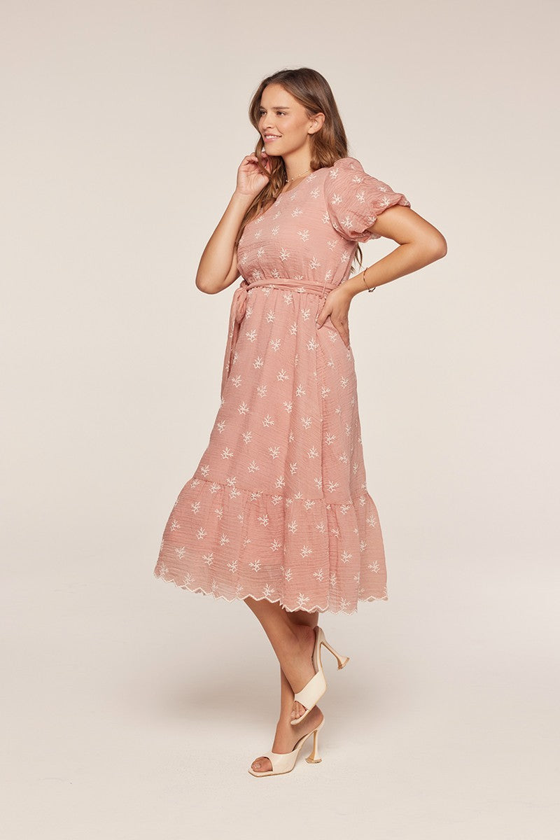 Embroidered Chiffon Dress