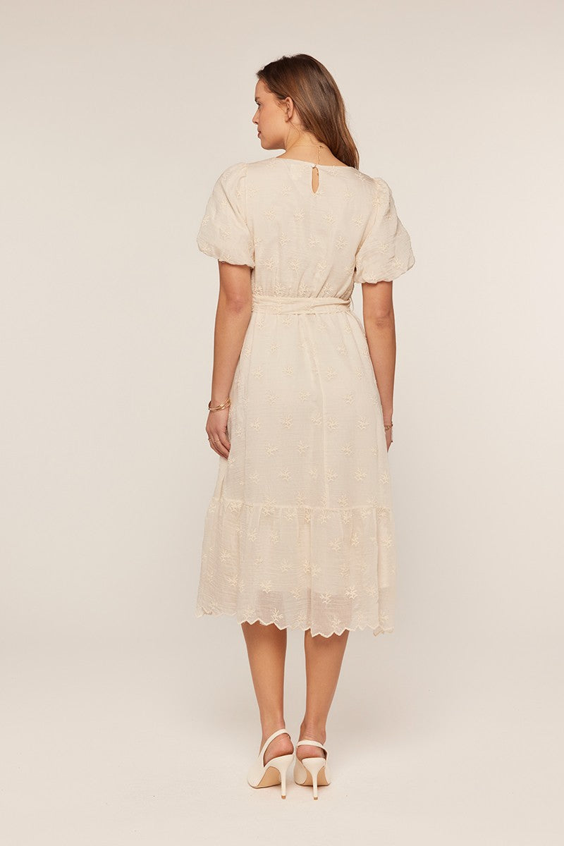 Embroidered Chiffon Dress