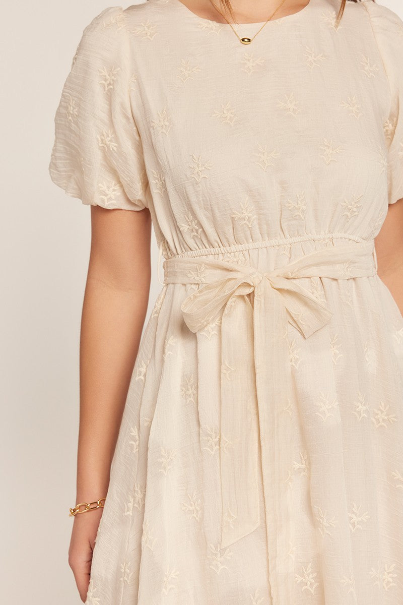 Embroidered Chiffon Dress