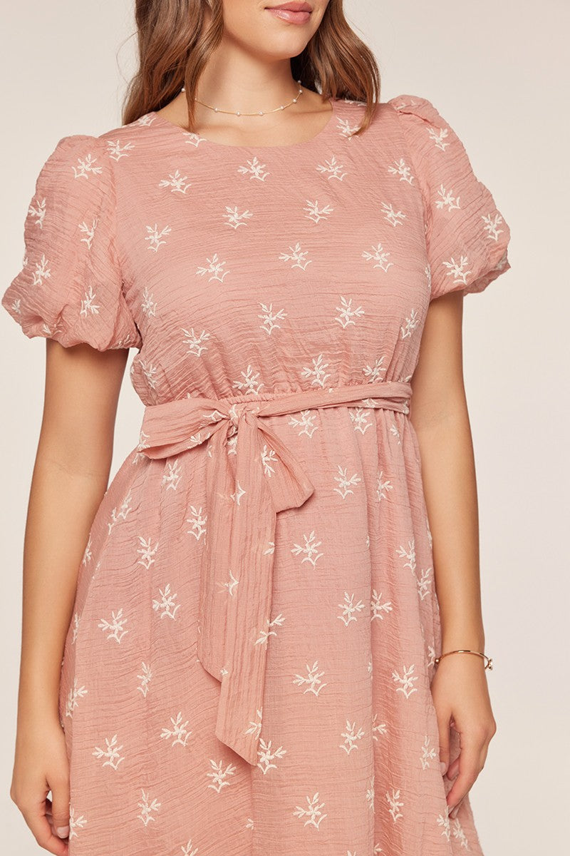 Embroidered Chiffon Dress
