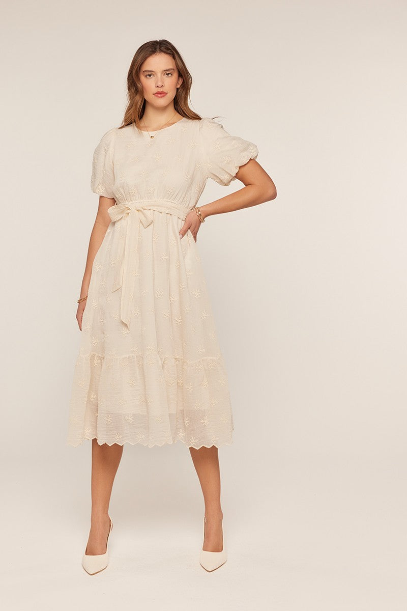 Embroidered Chiffon Dress