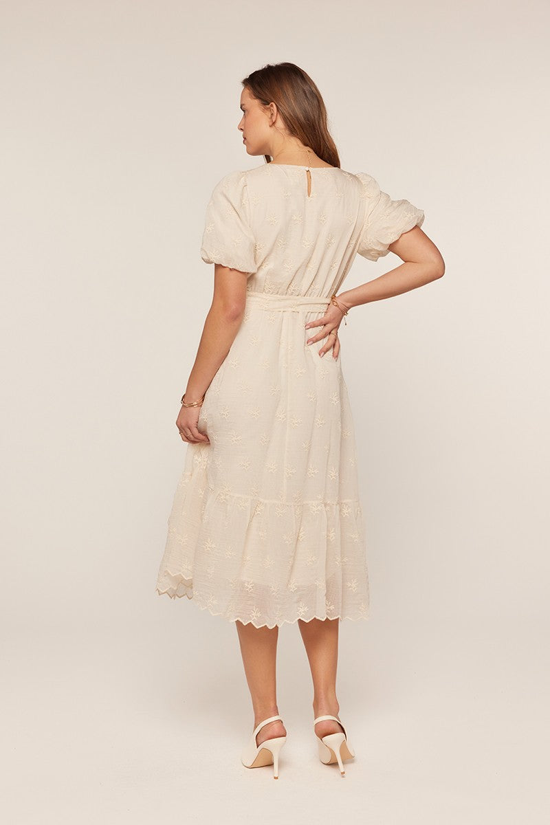 Embroidered Chiffon Dress