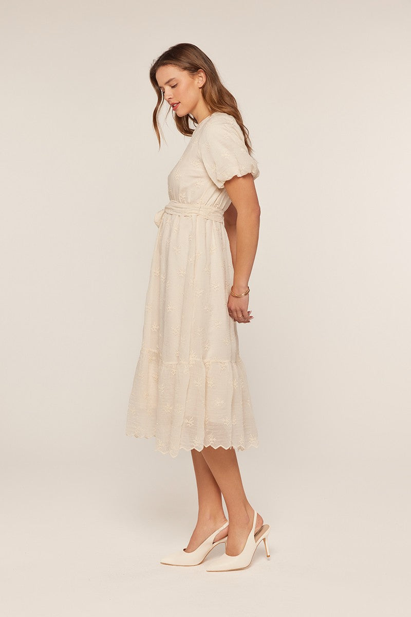 Embroidered Chiffon Dress
