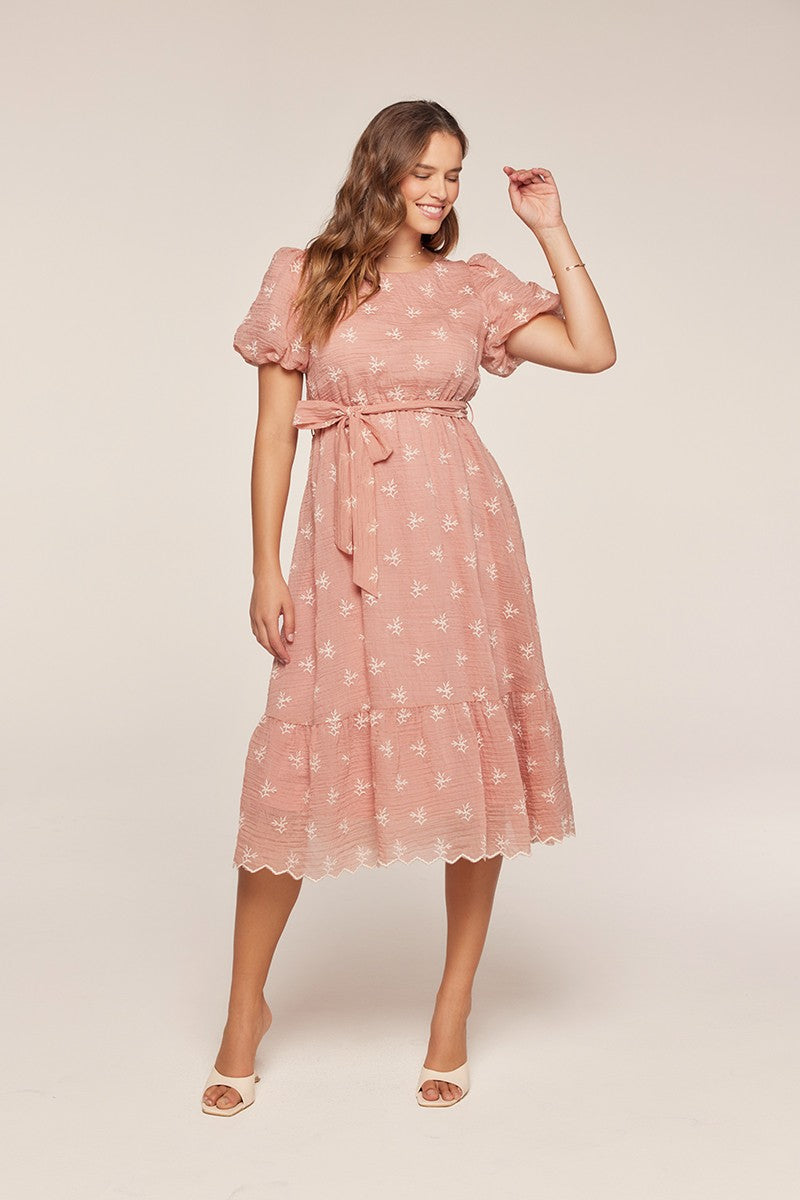 Embroidered Chiffon Dress