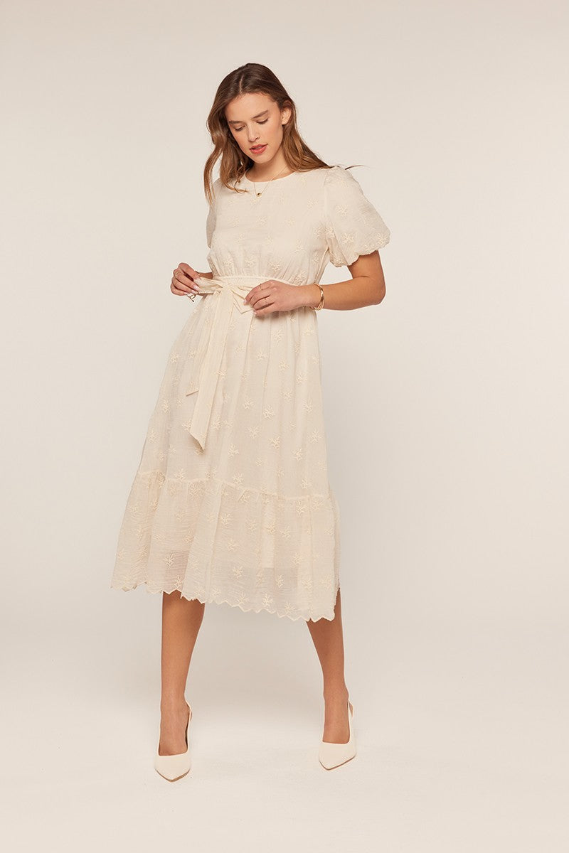 Embroidered Chiffon Dress