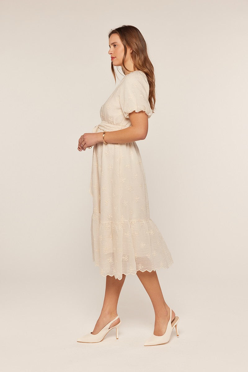 Embroidered Chiffon Dress