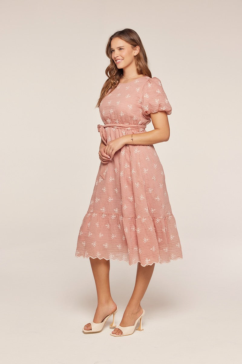 Embroidered Chiffon Dress
