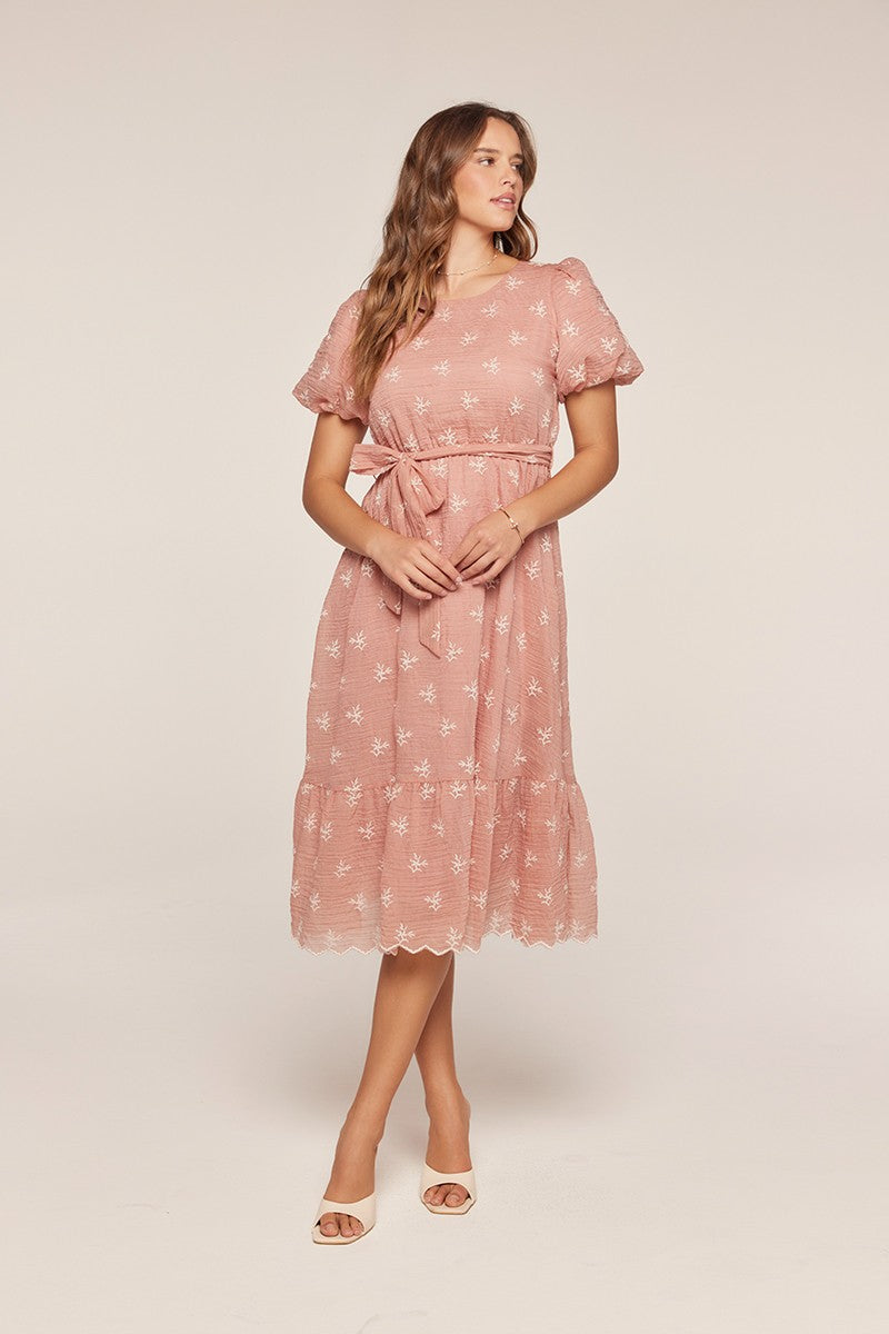 Embroidered Chiffon Dress