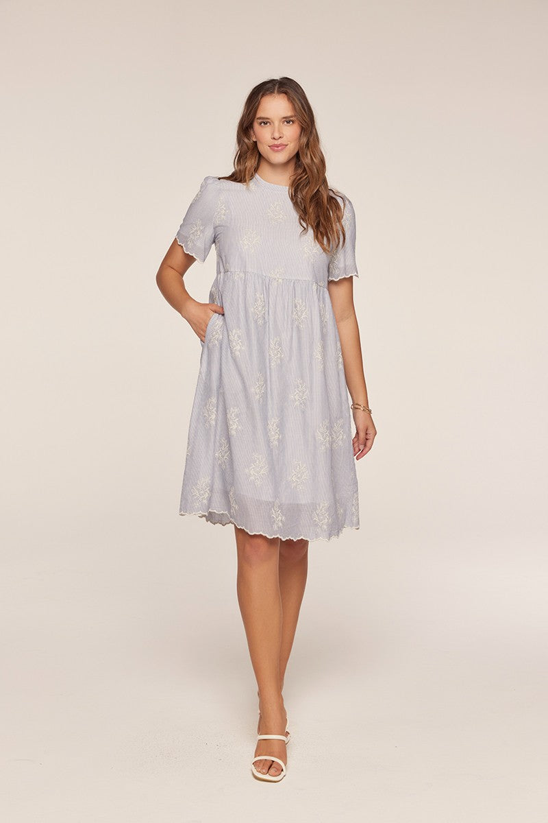 Gingham Embroidery Dress