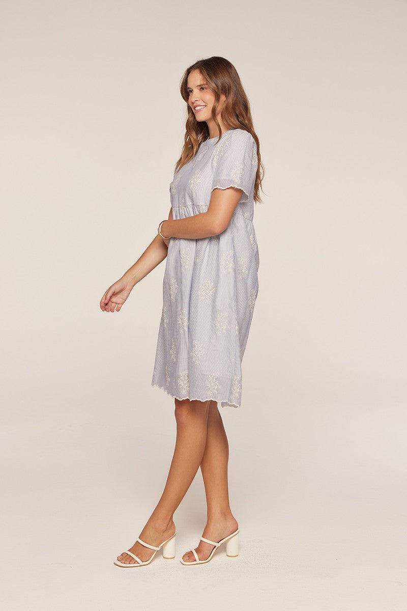Gingham Embroidery Dress