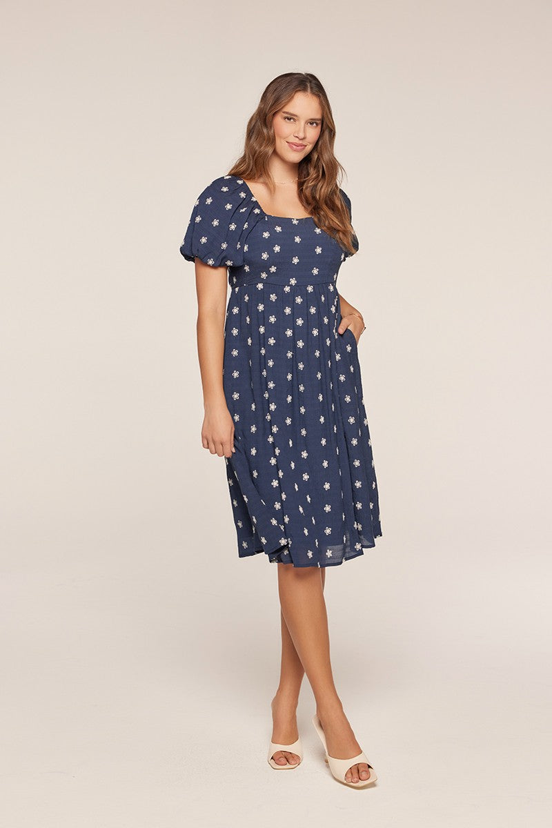 Plus Size Embroidered Square Neck Dress