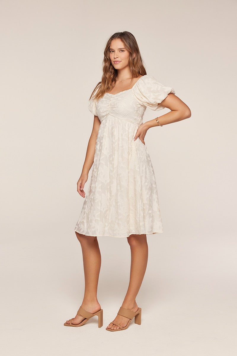Textured Knit Mini Dress