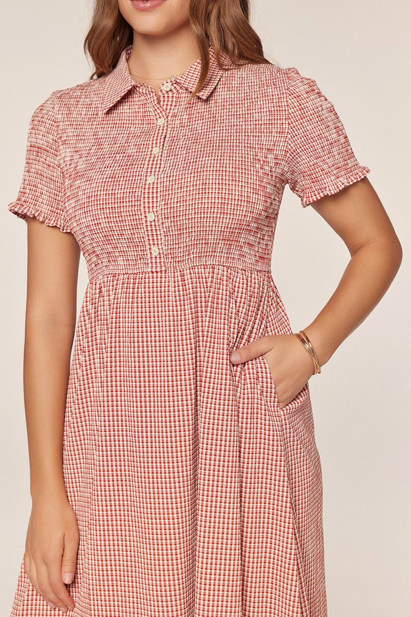 Smocked Detail Gingham Dress