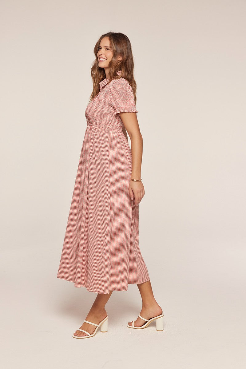 Plus Size Smocked Detail Gingham Dress