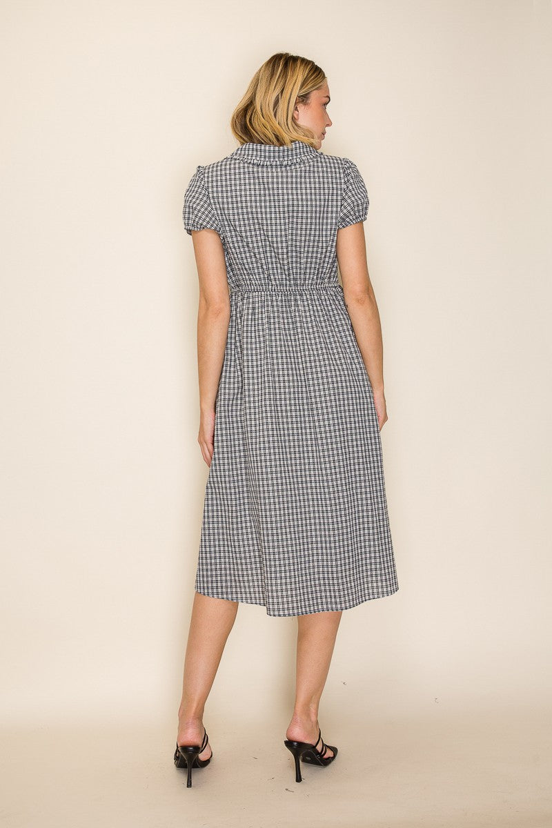 Collared Gingham Button Down Dress