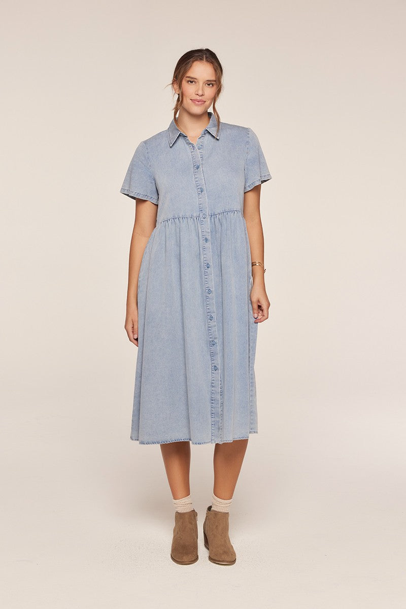 Plus Size Button Front Babydoll Midi Dress