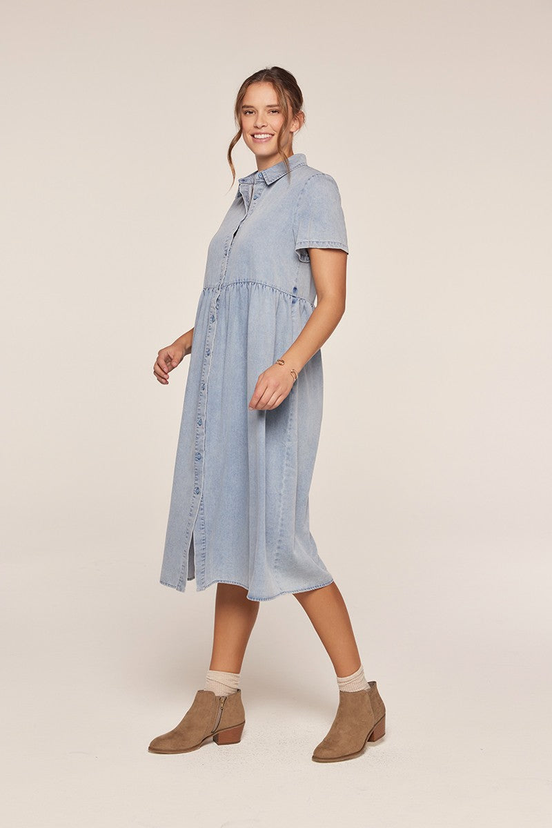 Plus Size Button Front Babydoll Midi Dress