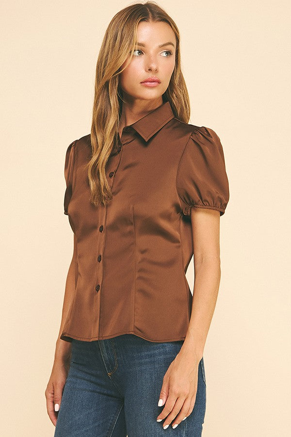 Satin Puff Sleeve Sculpted Princess Lined Blouse Top