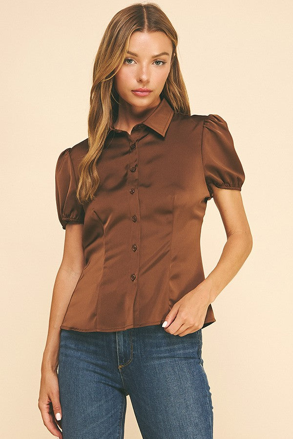 Satin Puff Sleeve Sculpted Princess Lined Blouse Top