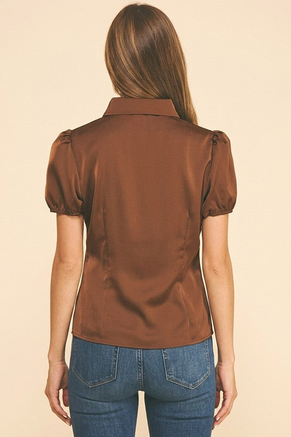 Satin Puff Sleeve Sculpted Princess Lined Blouse Top