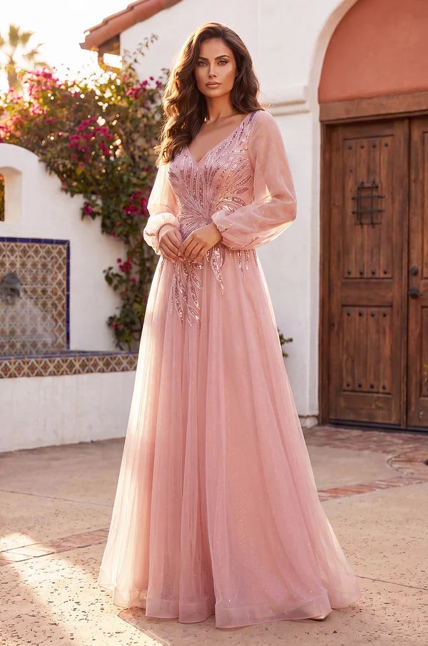 V Neck Long Sleeve Formal Evening Dress