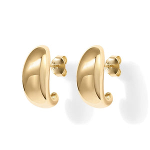 Golden Embrace Earrings