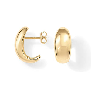 Golden Embrace Earrings